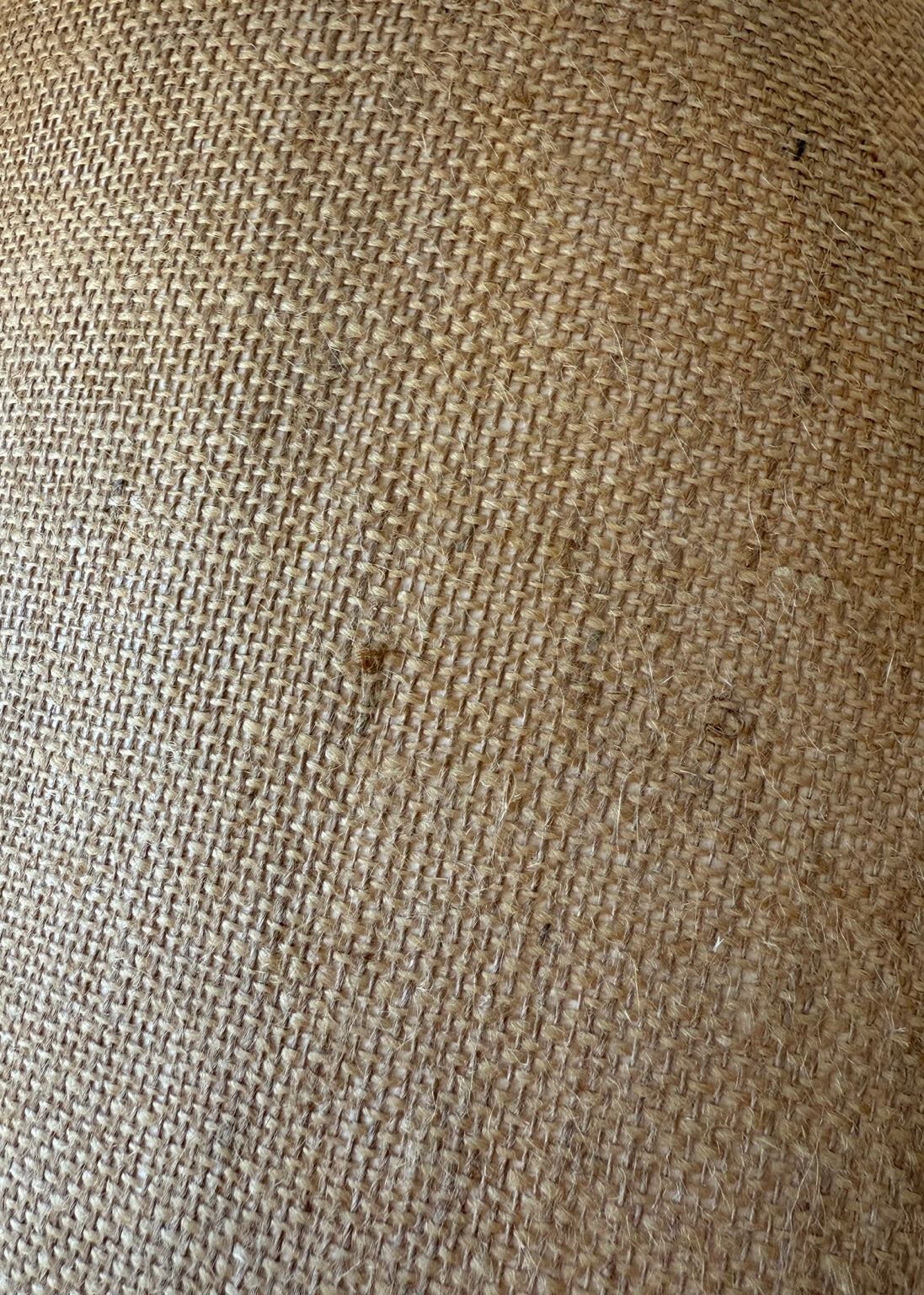 Close-up detail of textured vintage lamp shade